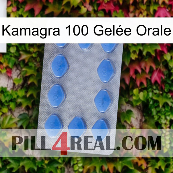Kamagra 100 Gelée Orale 21